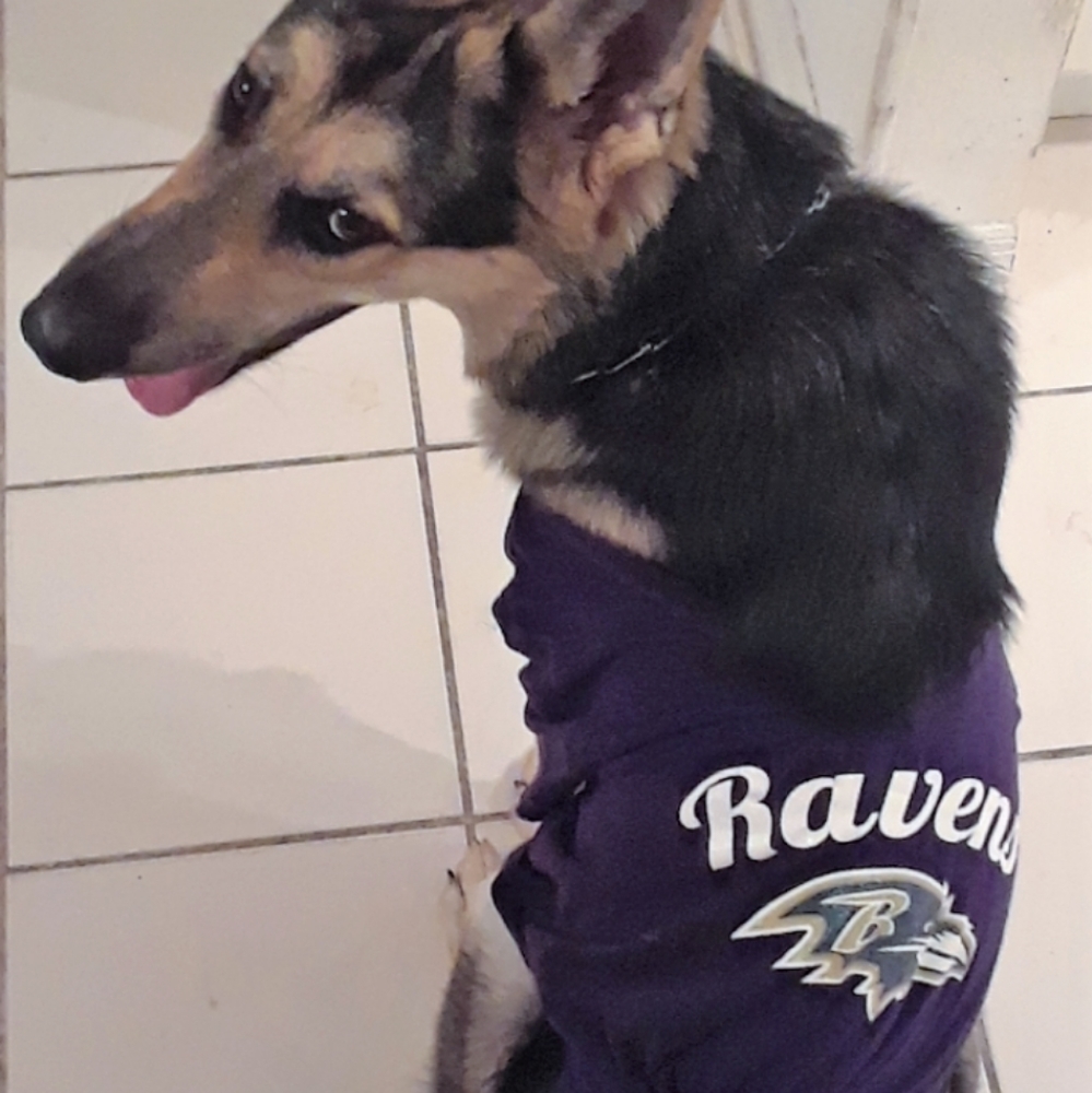 MISS RUBY - Picture 9 of 16